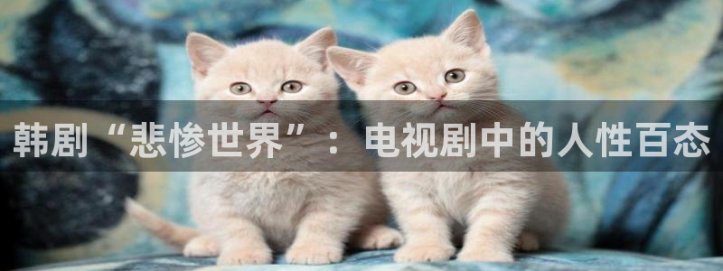 7777电影院：韩剧“悲惨世界”：电视剧中的人性百态