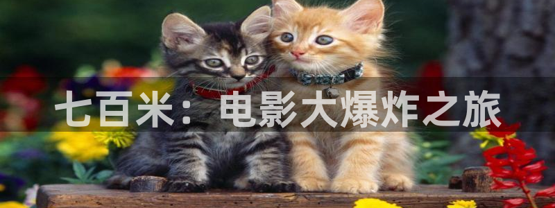 777777影院免费观看：七百米：电影大爆炸之旅