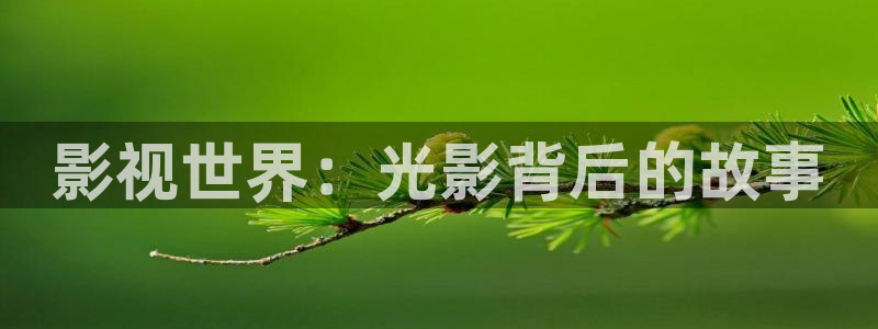 奇米影视777第四色：影视世界：光影背后的故事